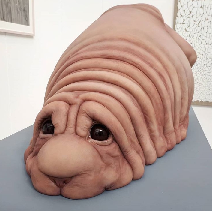 Дуже сумні очі: у знаменитого Почекуна з'явився родич